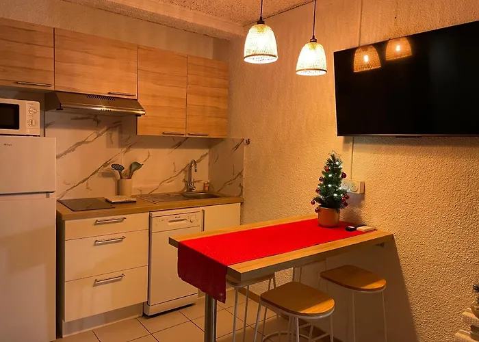 Lägenhet A 300m De La - Ideal Marche De Noel Le Barcarès